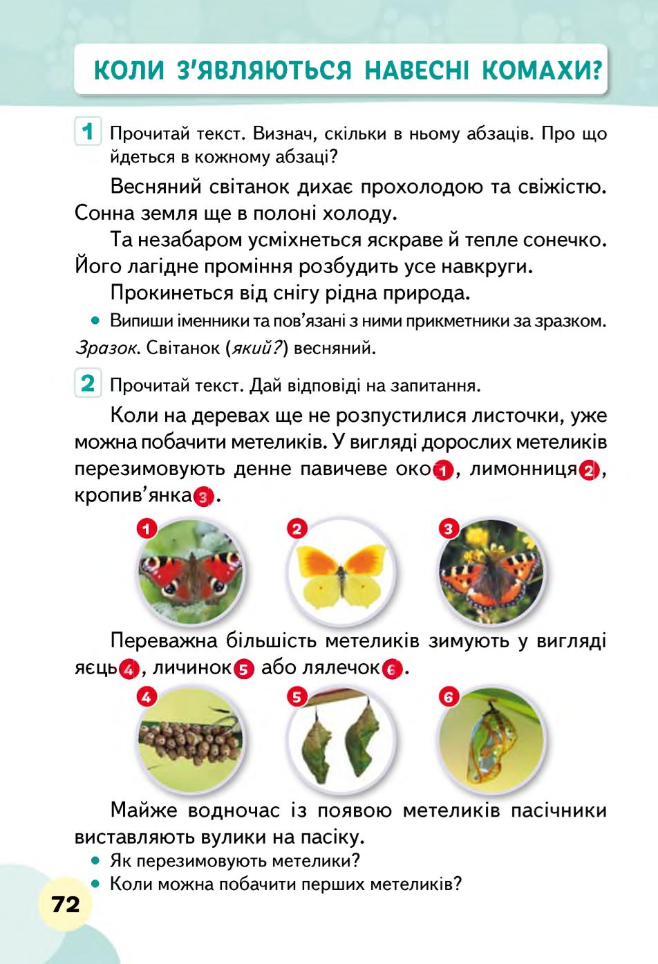 Мініатюра 72