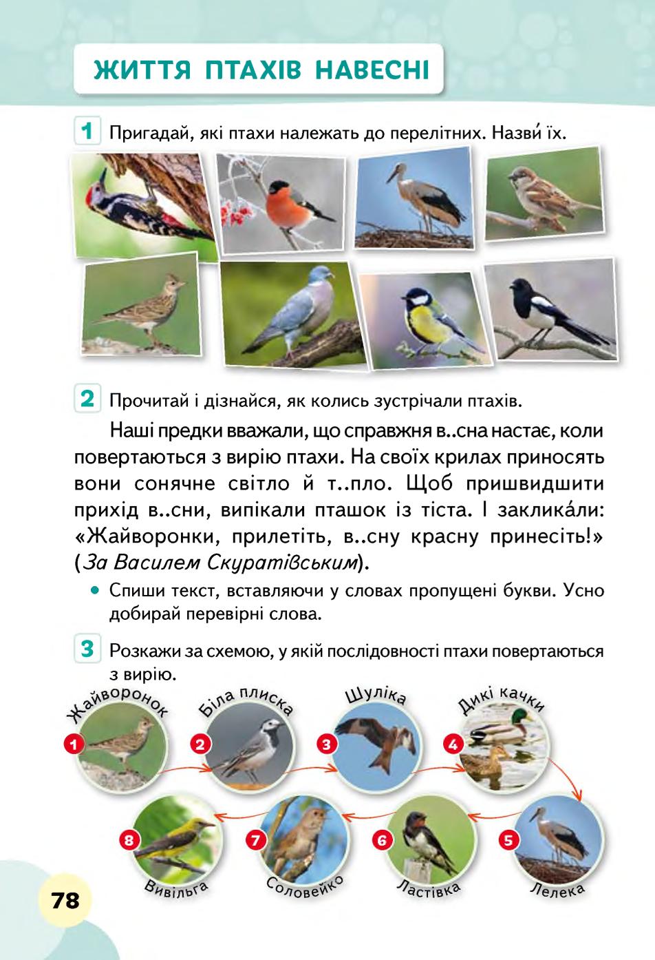 Мініатюра 78