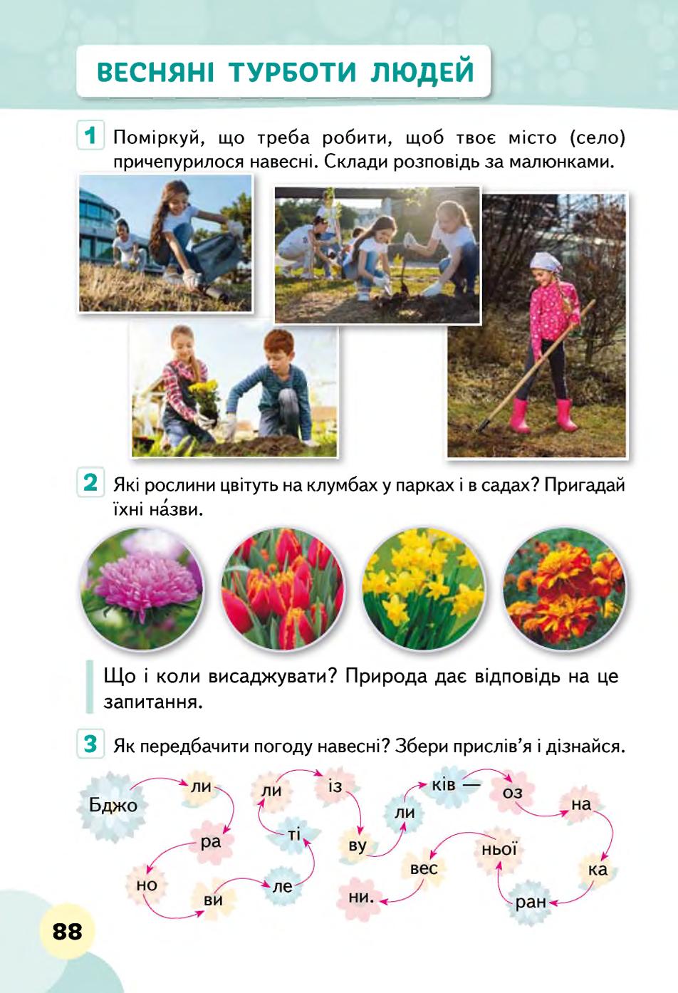 Мініатюра 88
