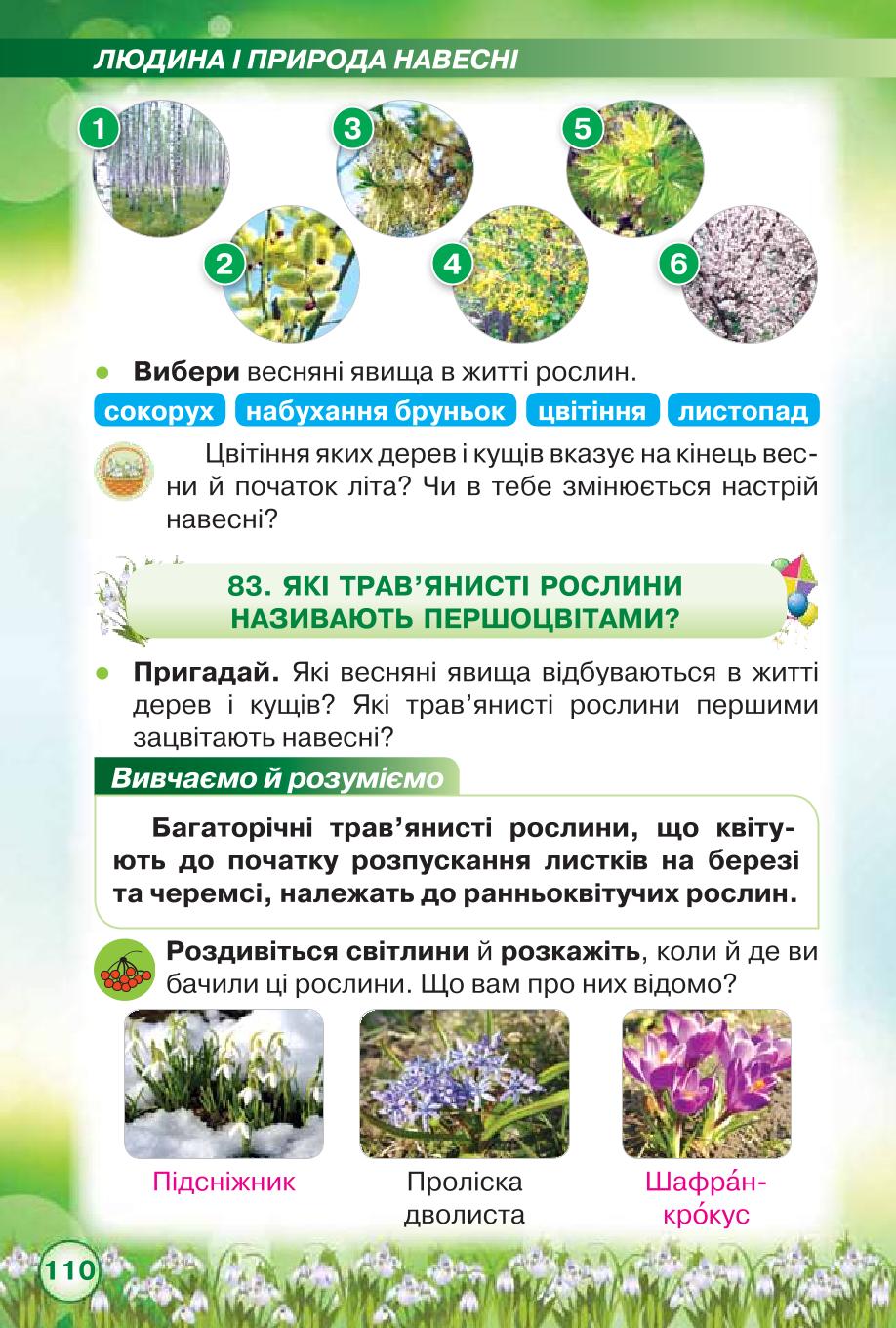 Мініатюра 110