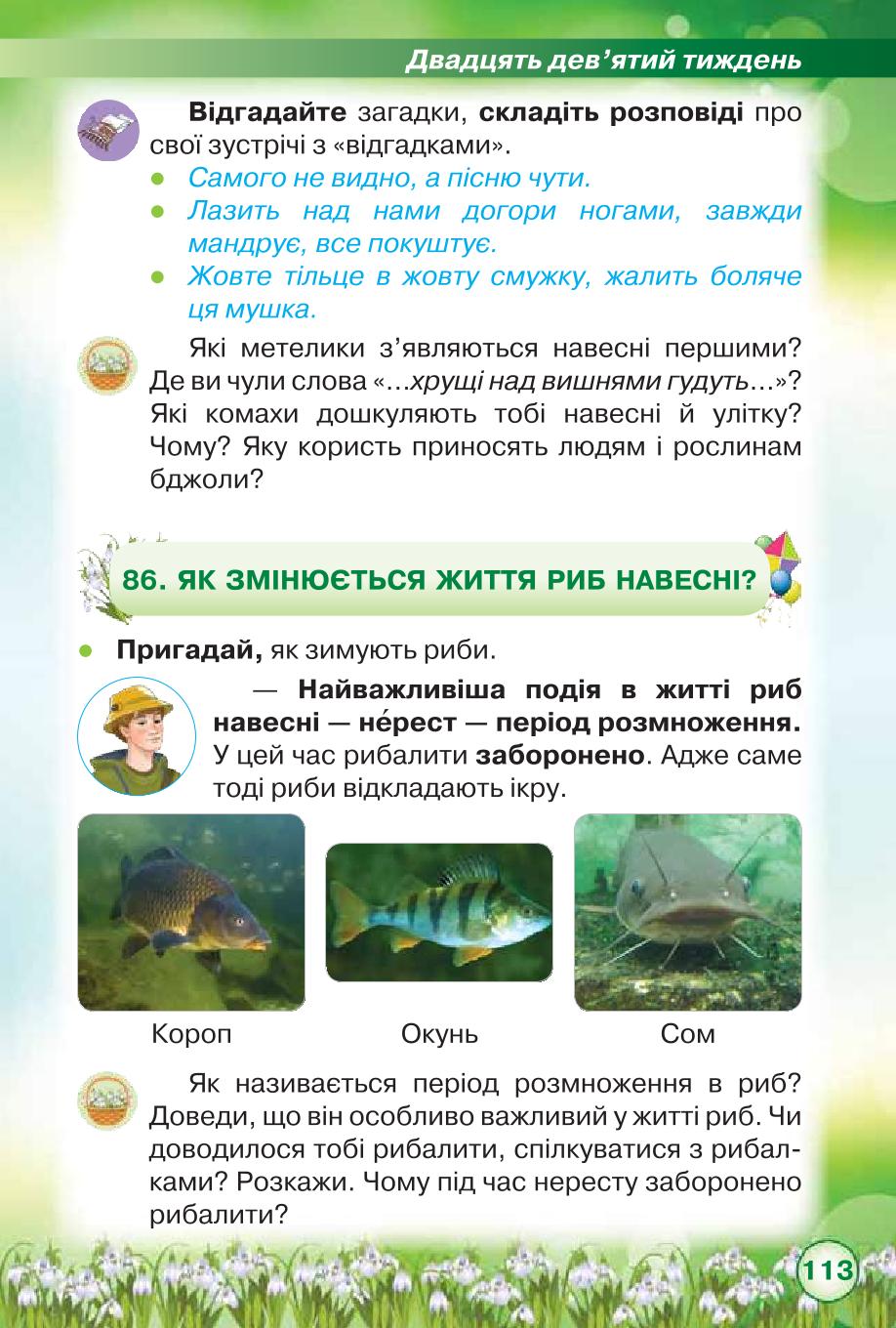 Мініатюра 113