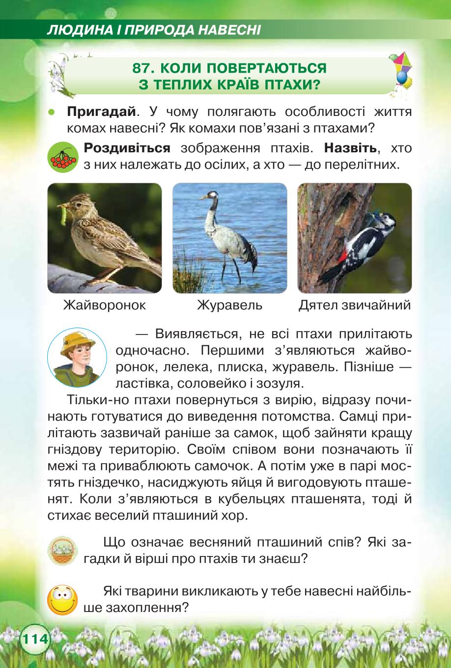 Мініатюра 114