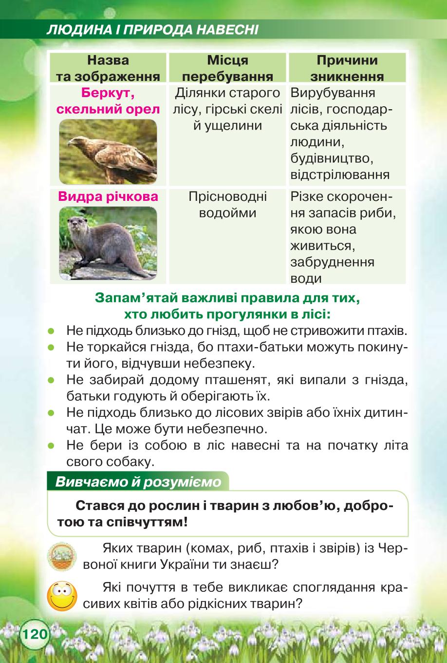 Мініатюра 120