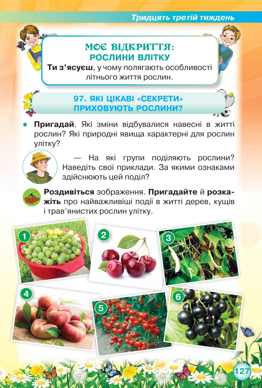 Мініатюра 127