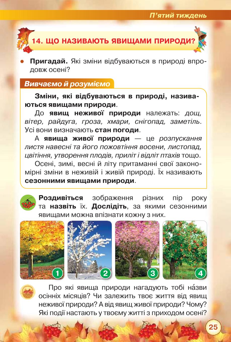 Мініатюра 25