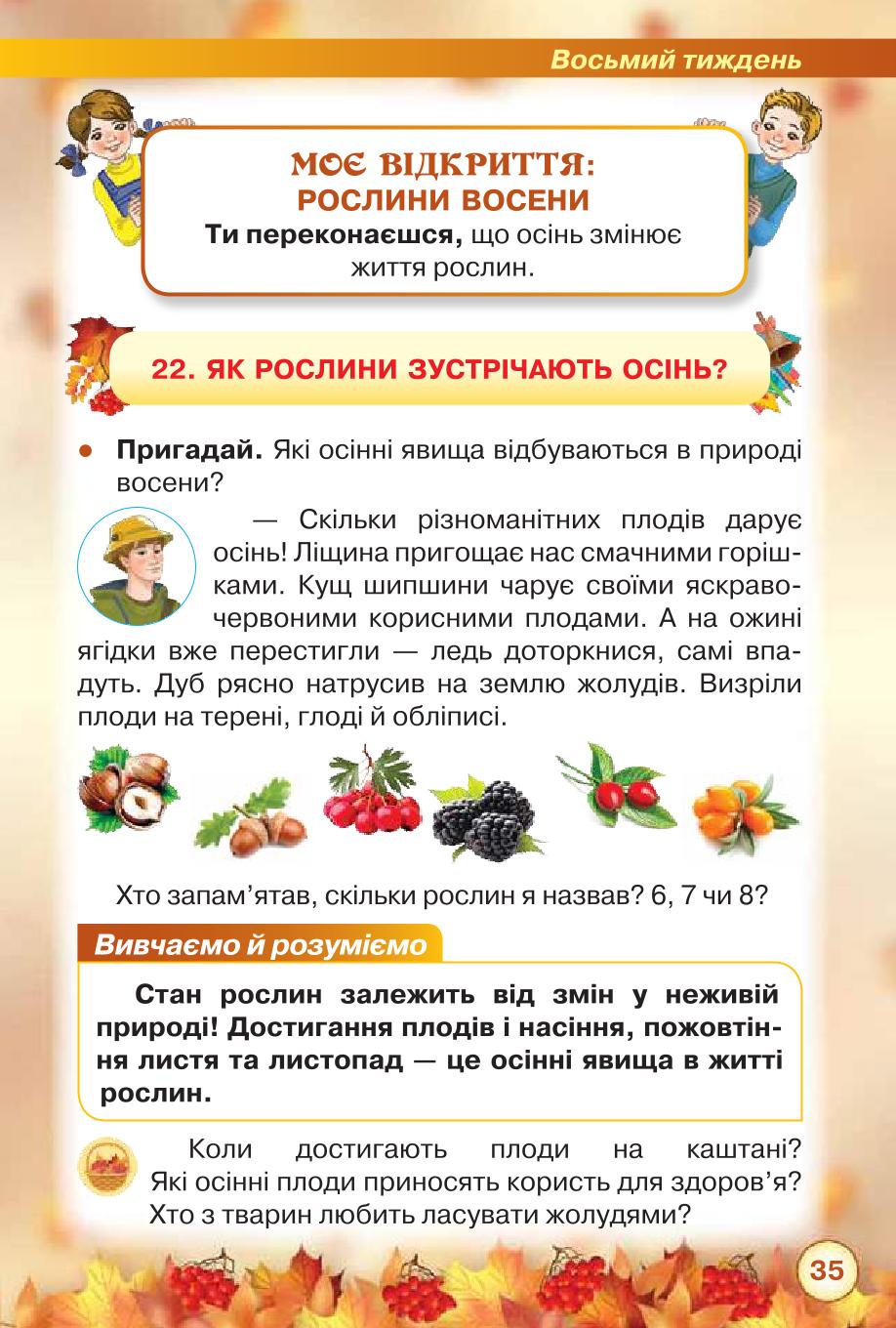 Мініатюра 35