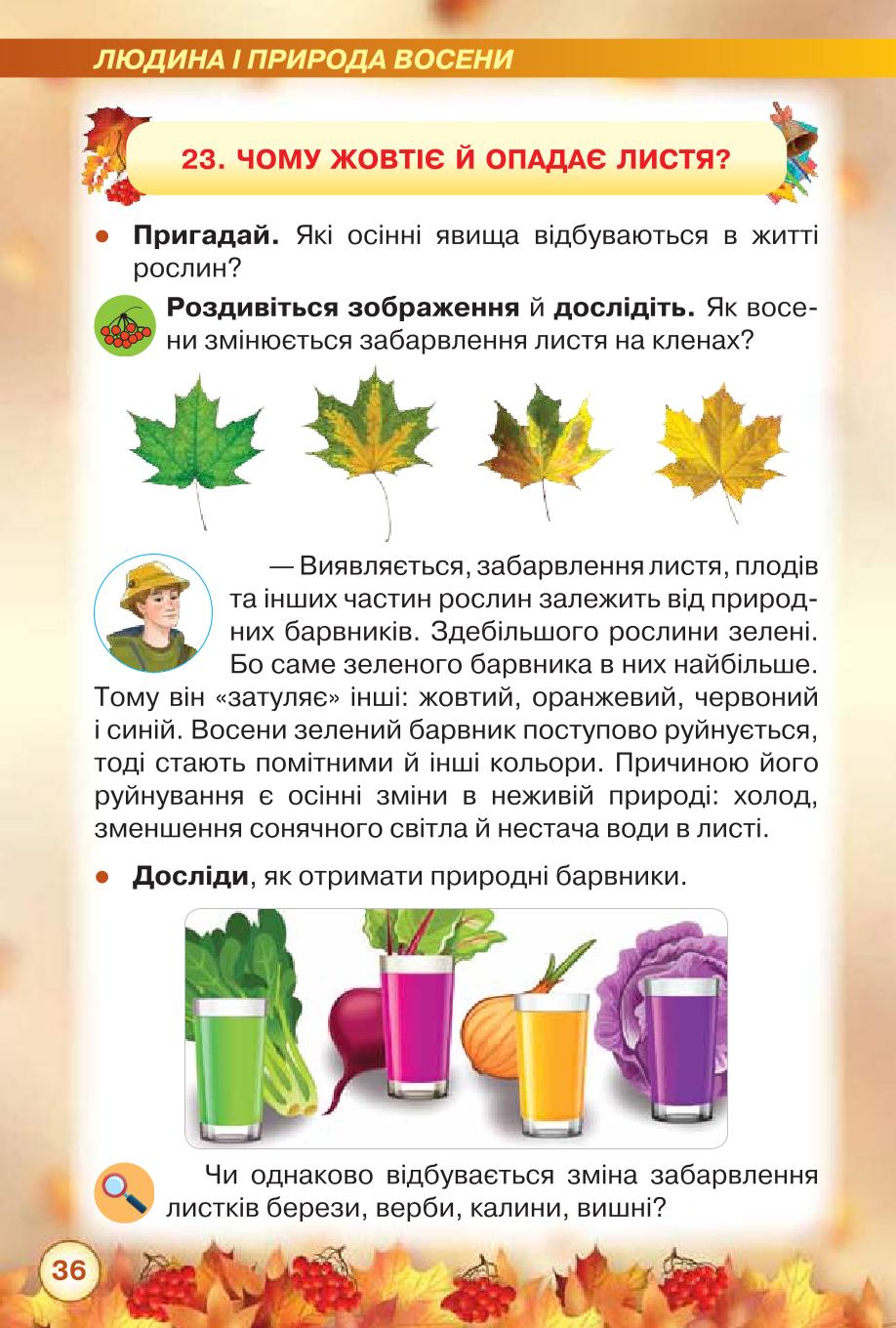Мініатюра 36