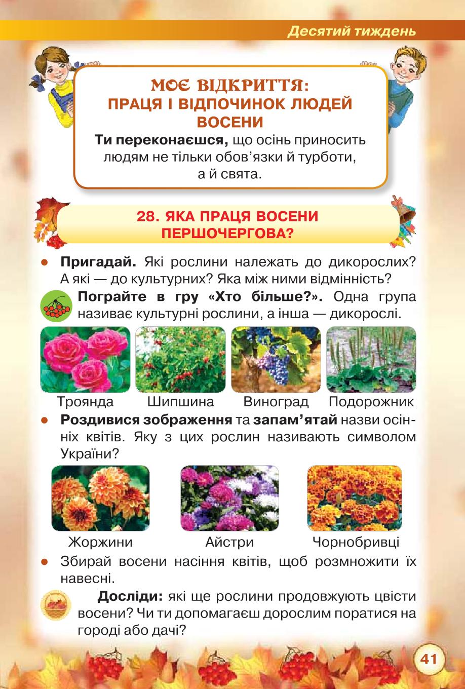 Мініатюра 41