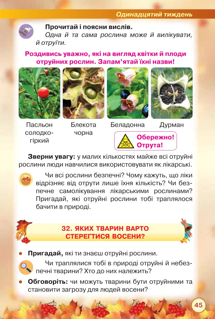Мініатюра 45