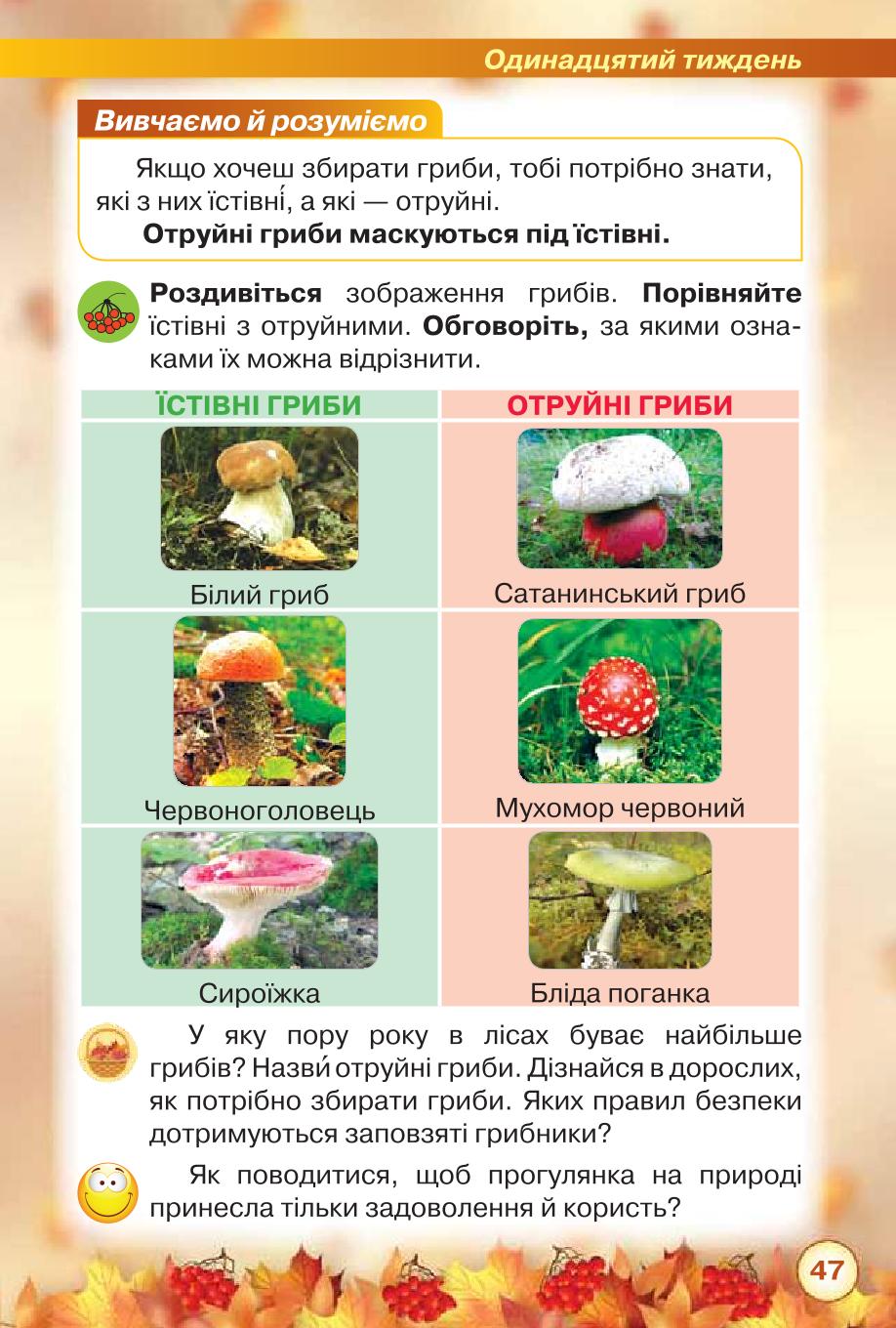 Мініатюра 47
