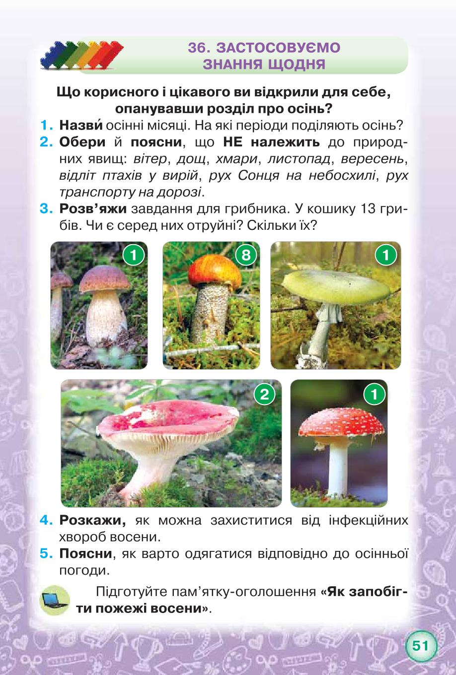 Мініатюра 51