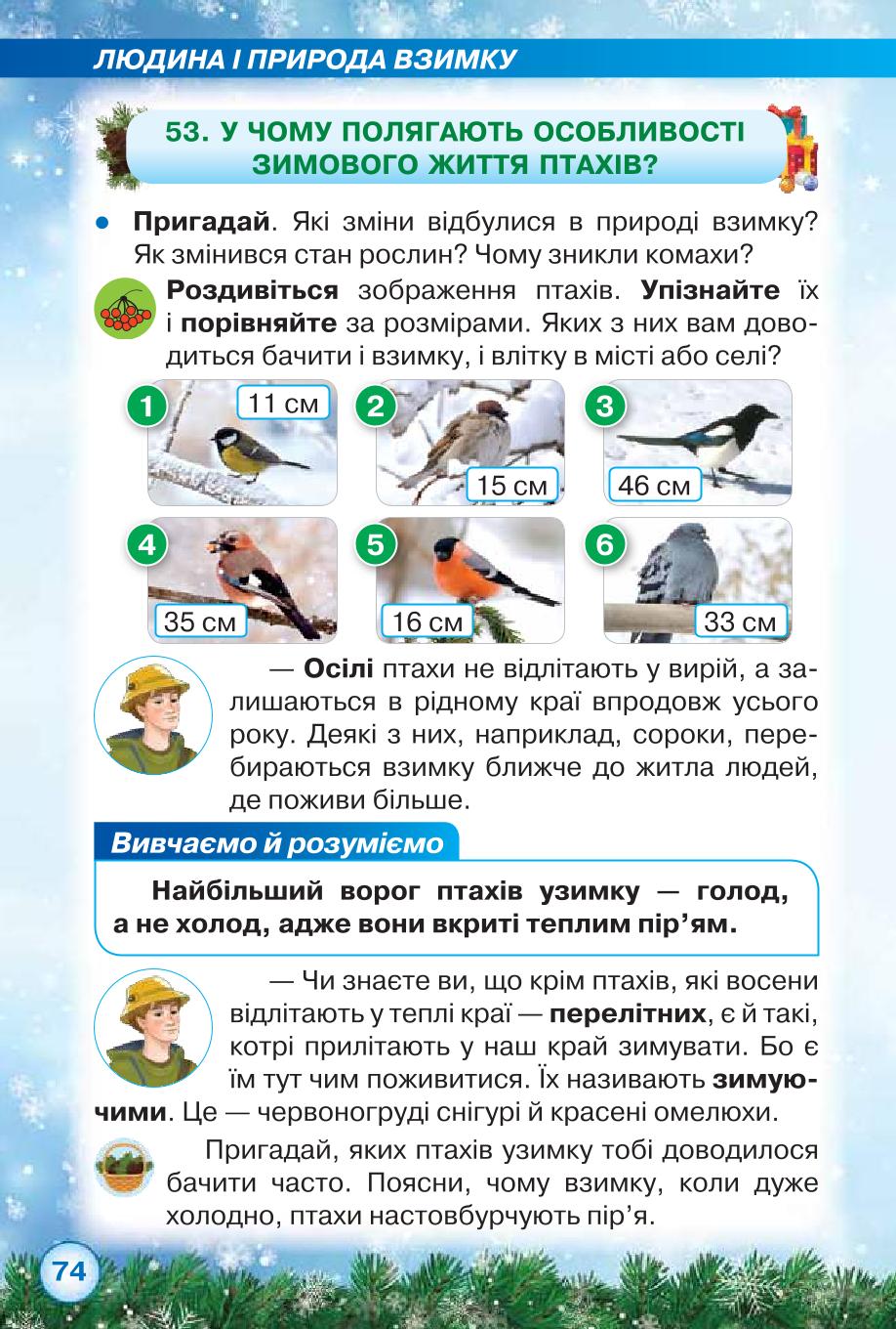 Мініатюра 74