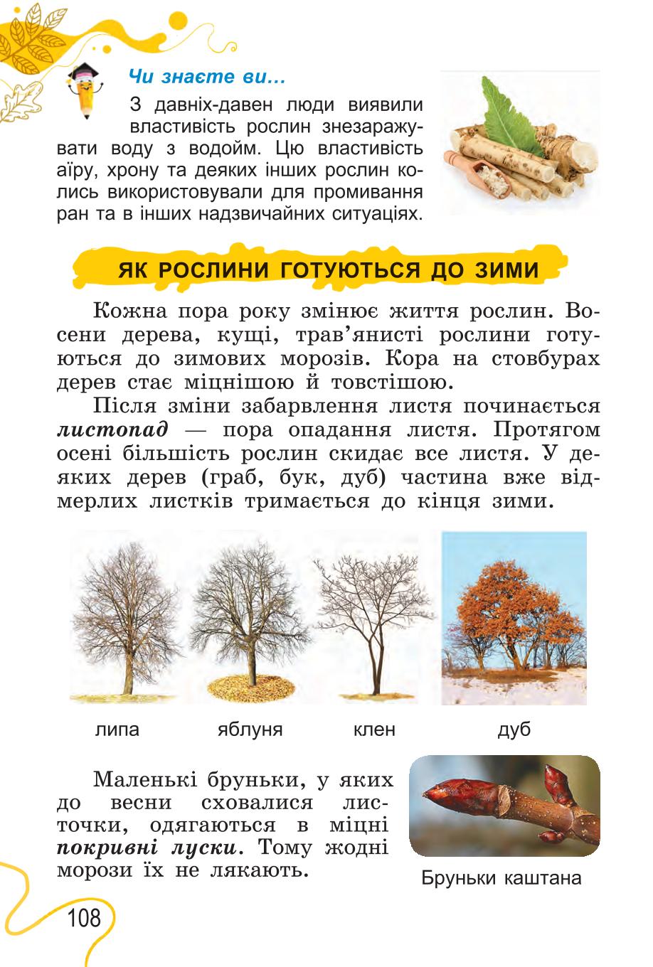 Мініатюра 108