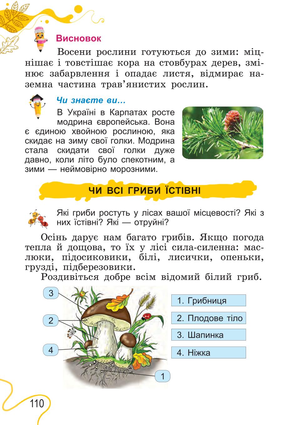 Мініатюра 110