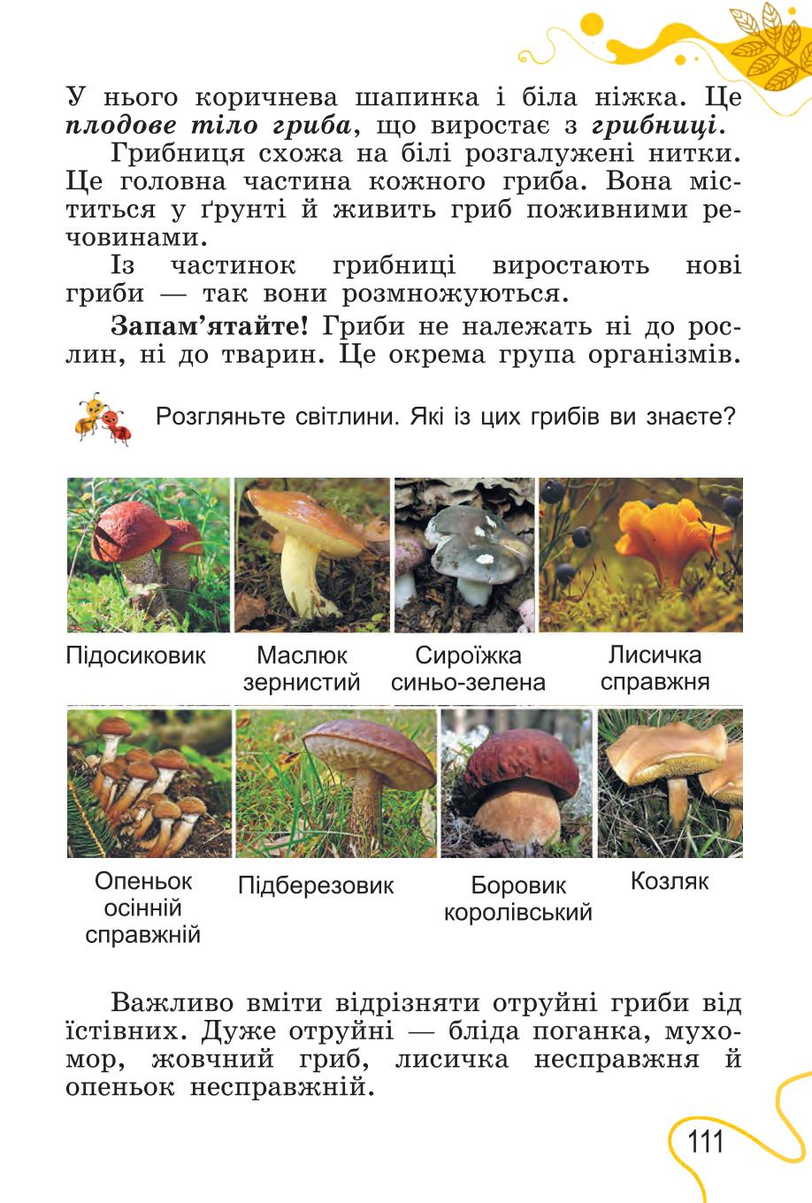 Мініатюра 111