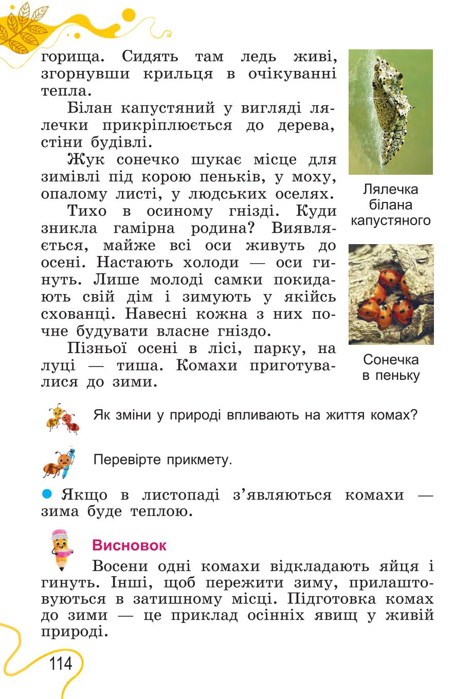 Мініатюра 114