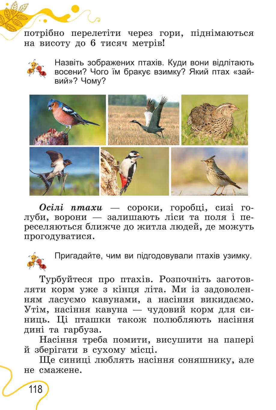 Мініатюра 118