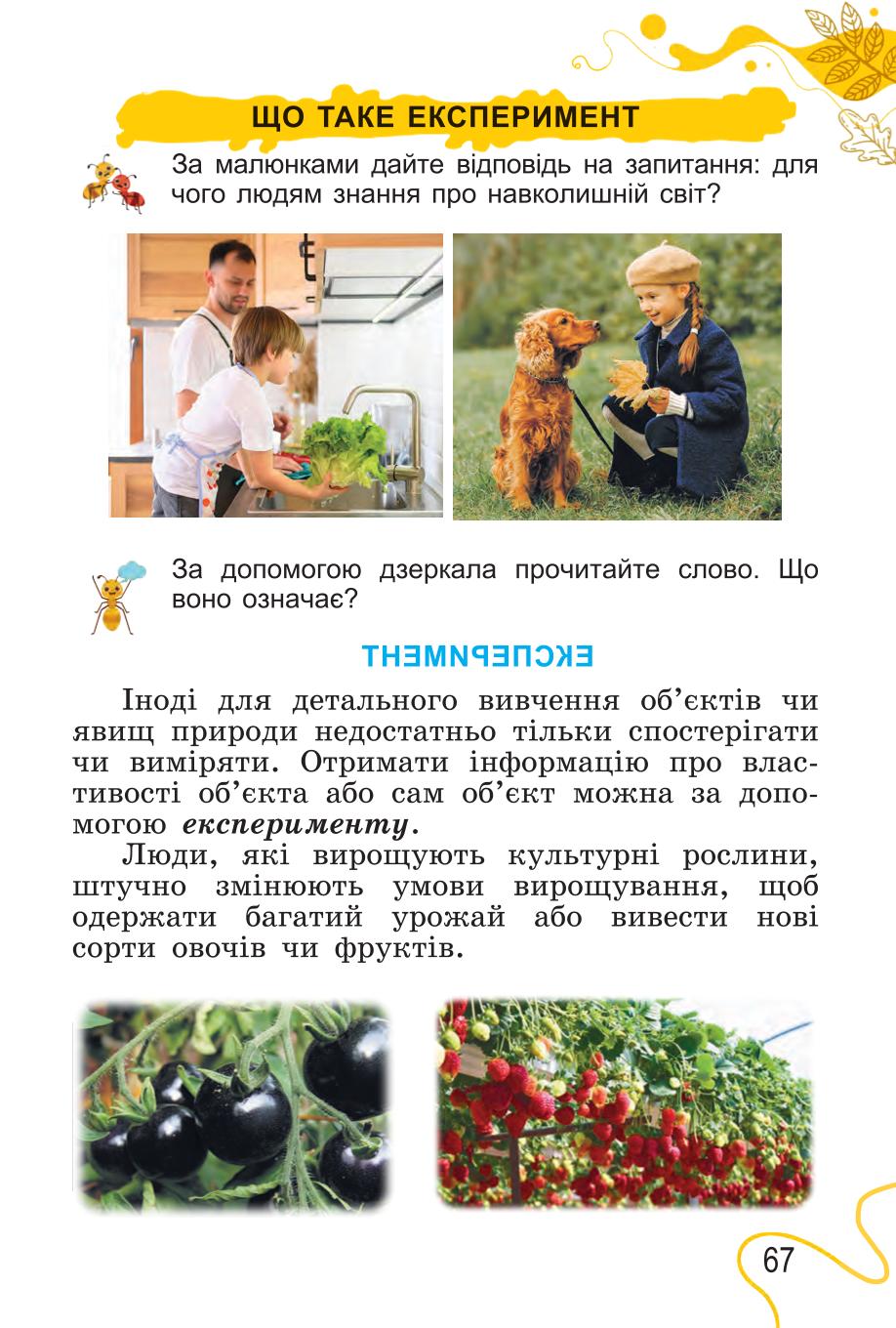 Мініатюра 67