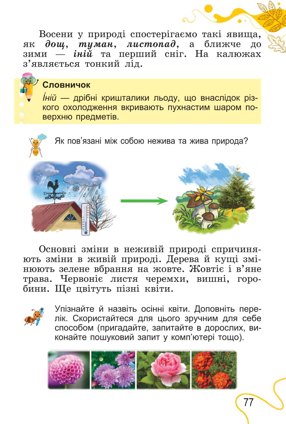 Мініатюра 77