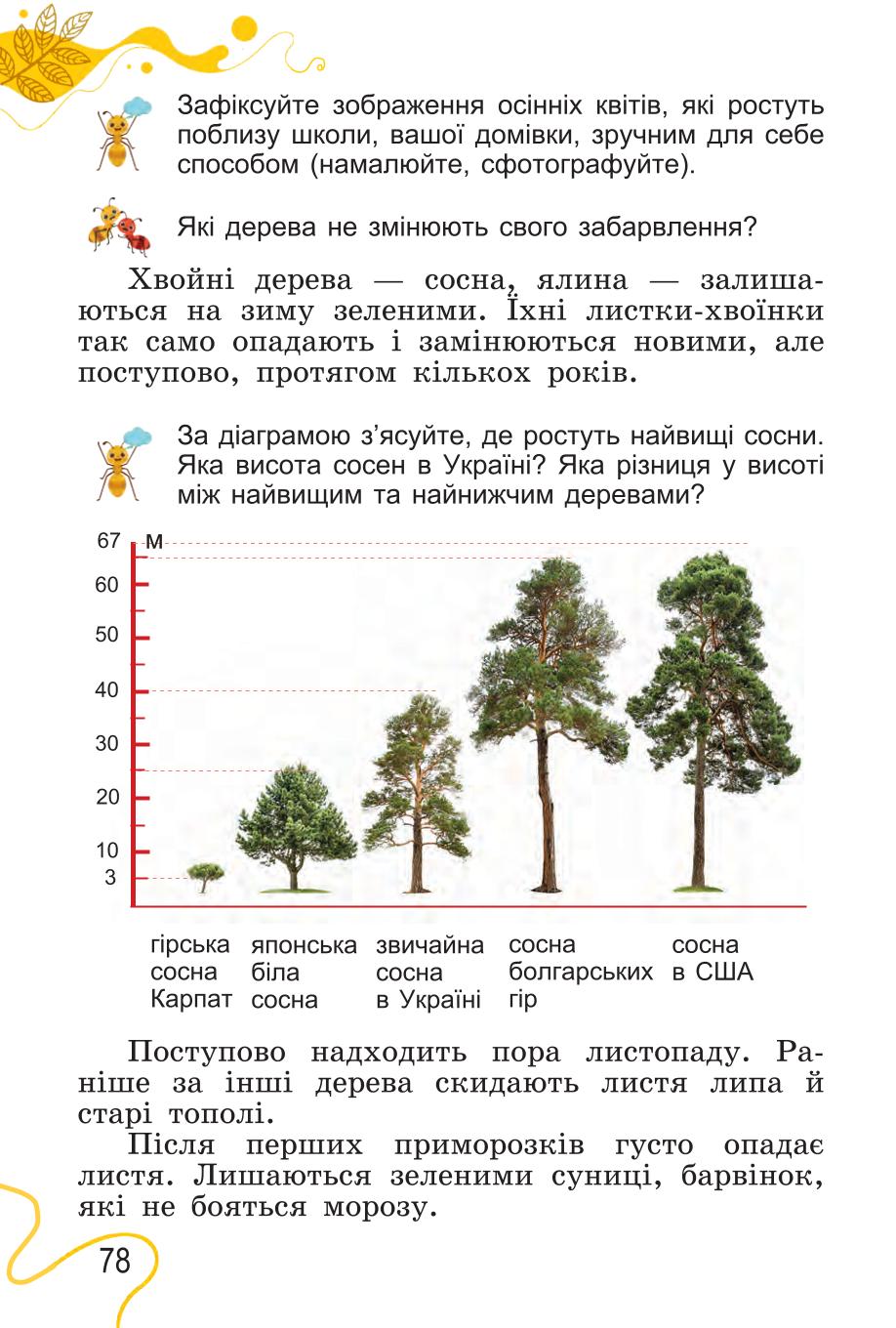 Мініатюра 78