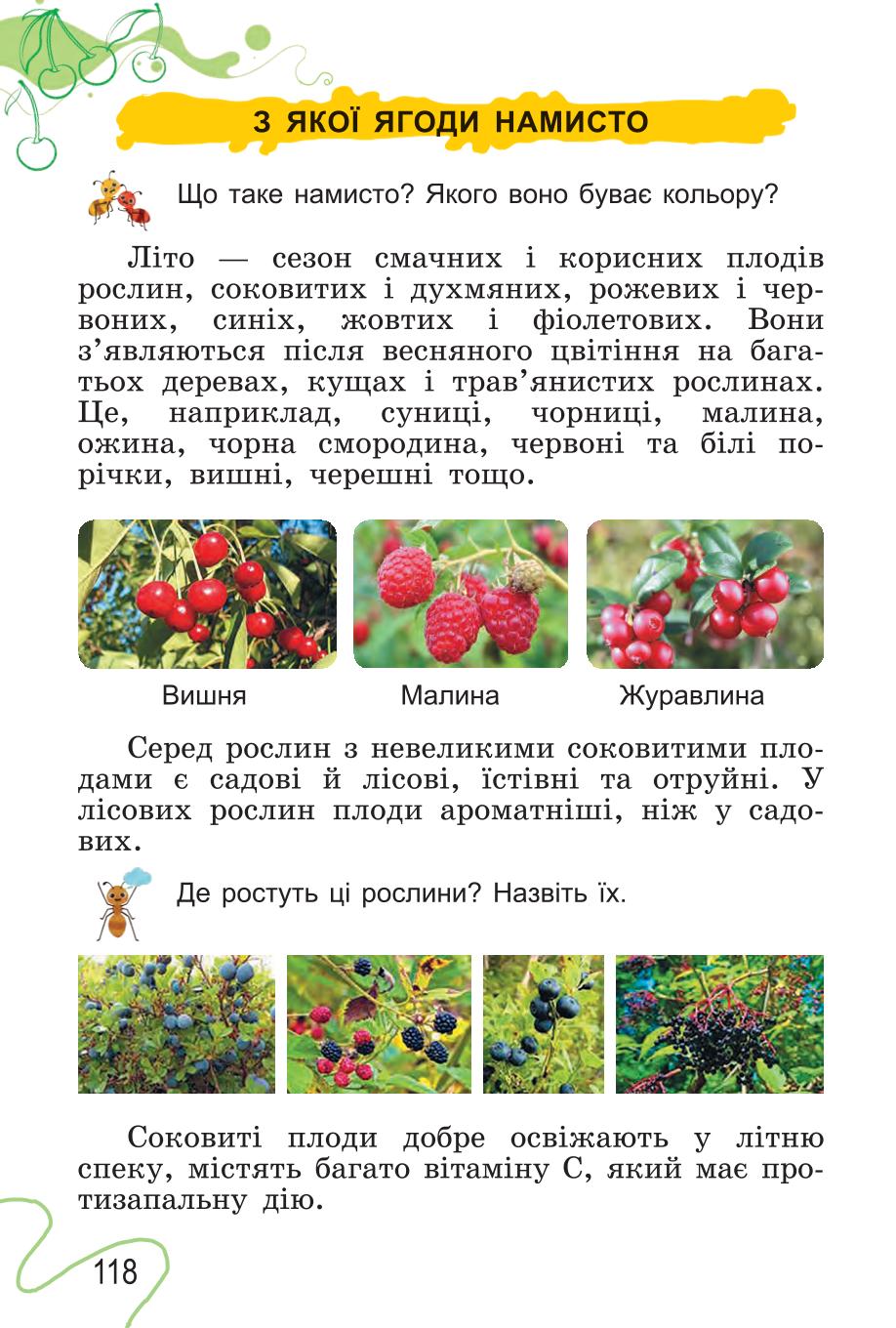 Мініатюра 118