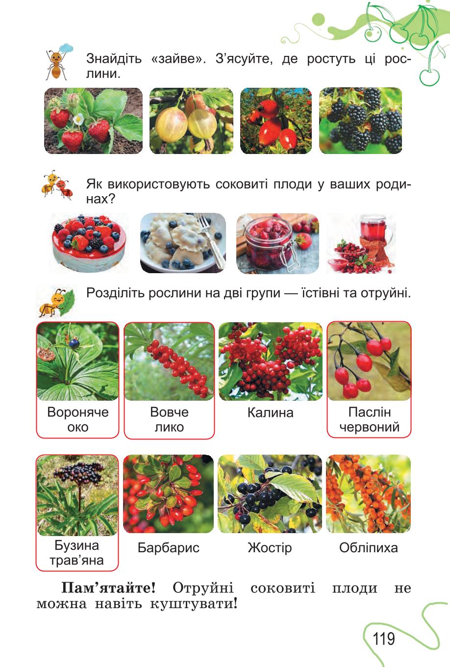 Мініатюра 119