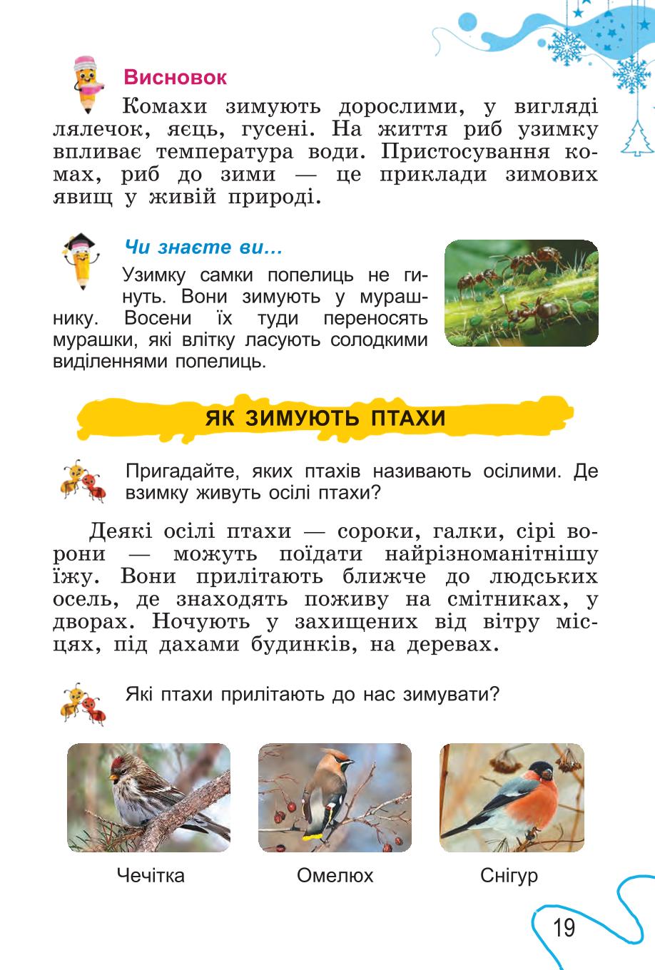 Мініатюра 19