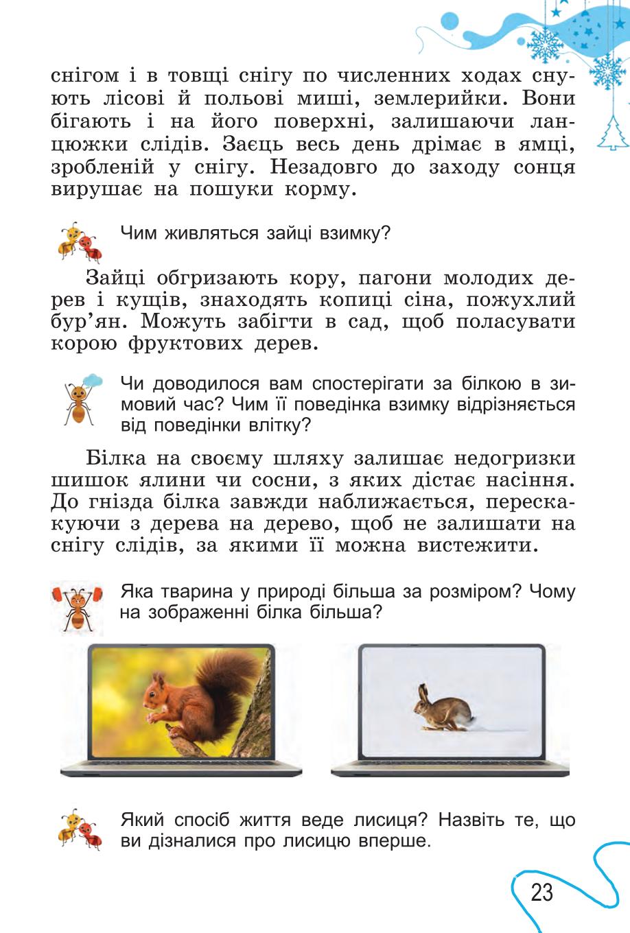 Мініатюра 23