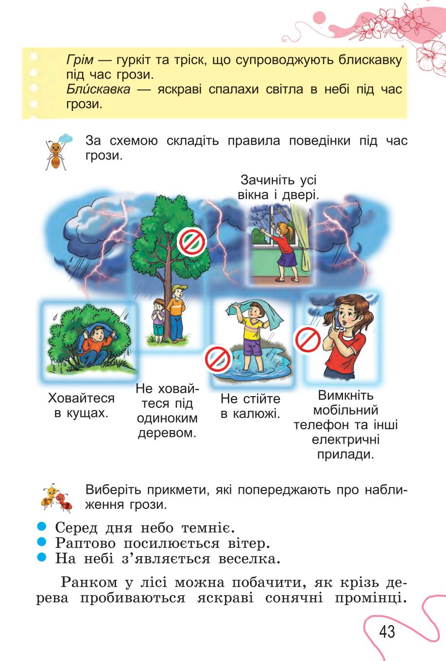 Мініатюра 43