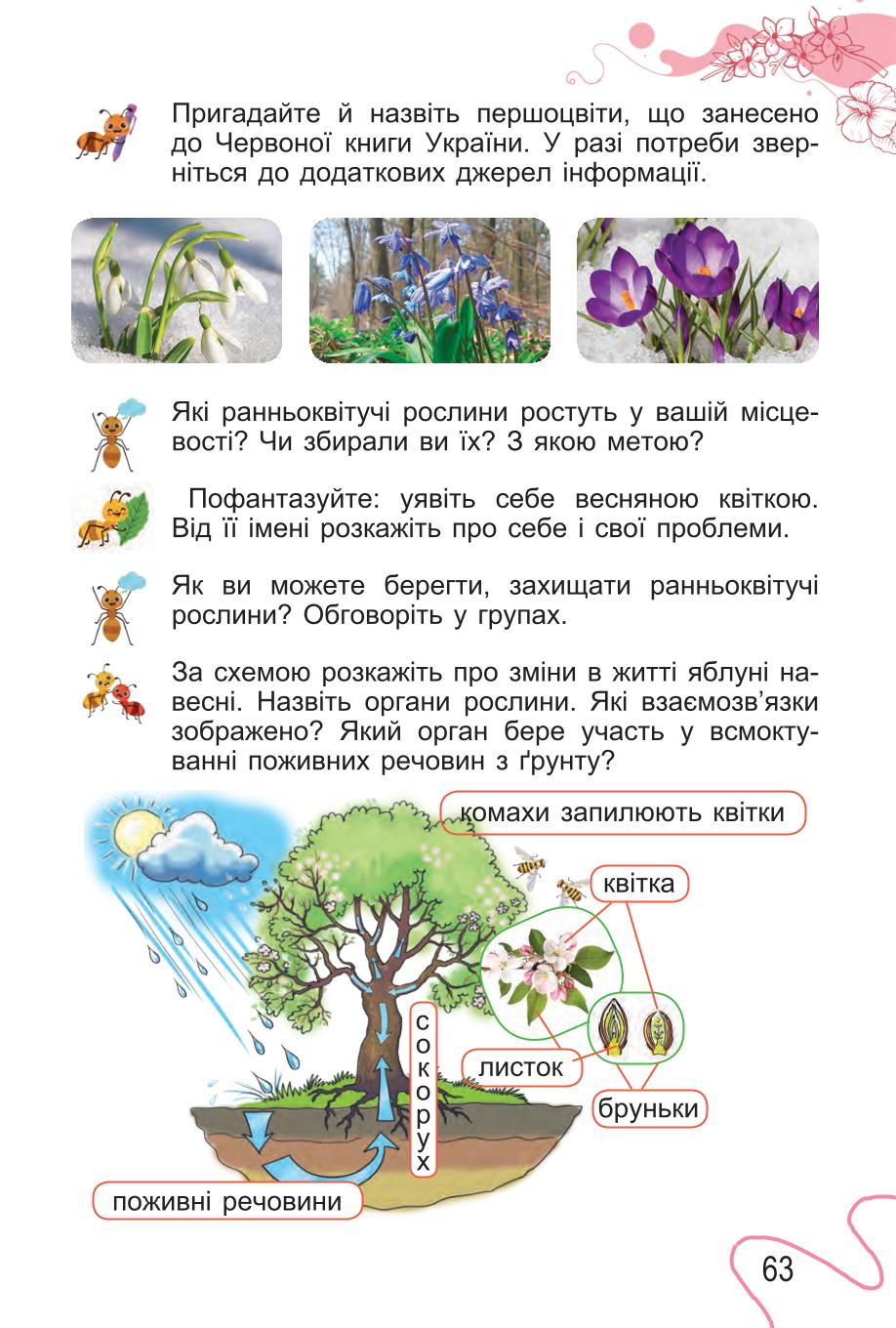 Мініатюра 63
