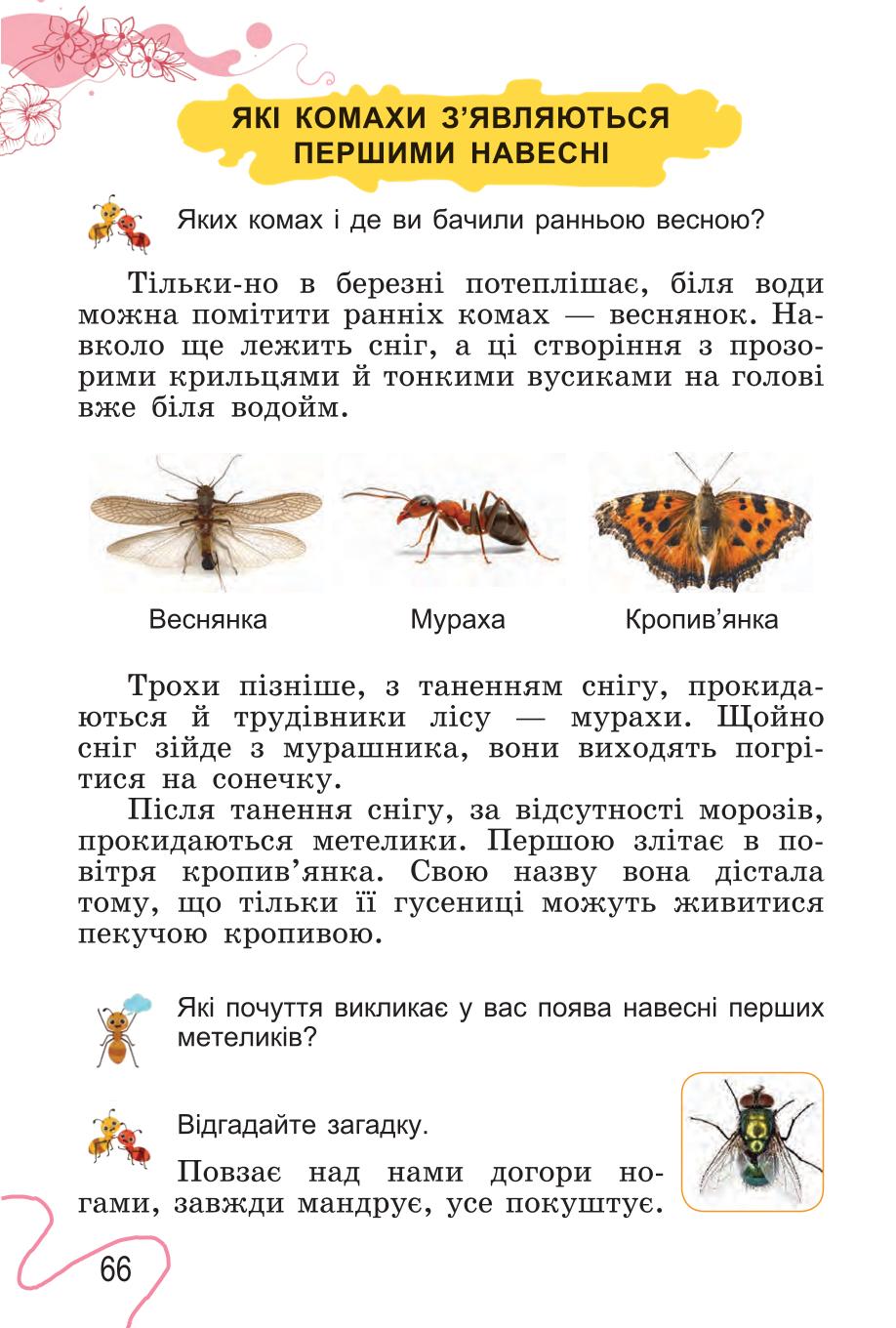 Мініатюра 66