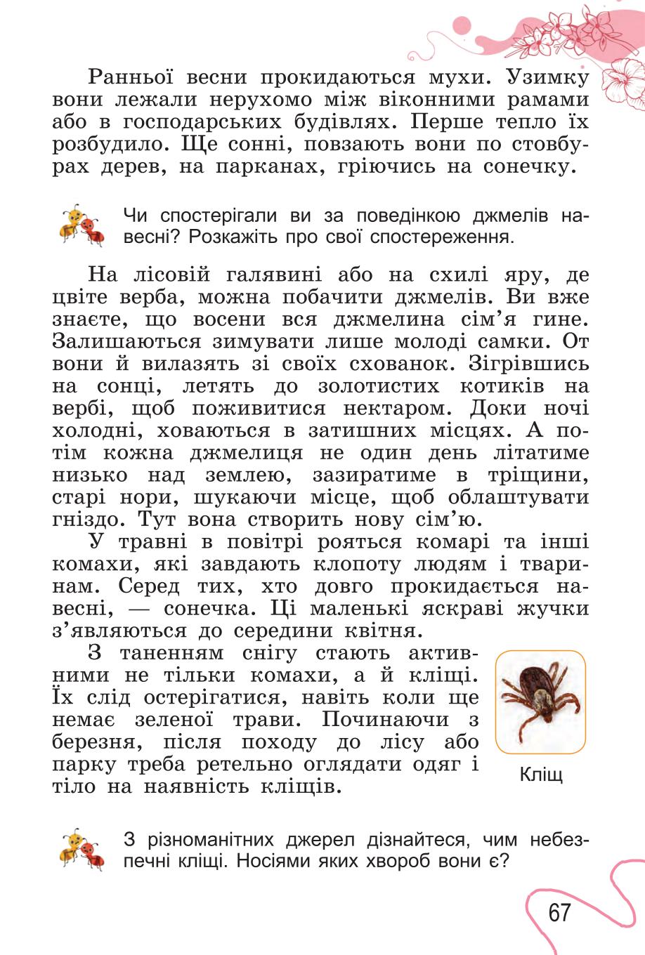 Мініатюра 67