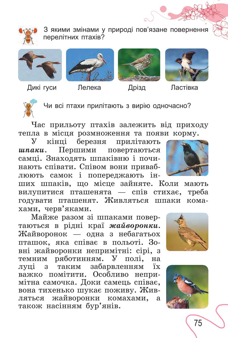 Мініатюра 75