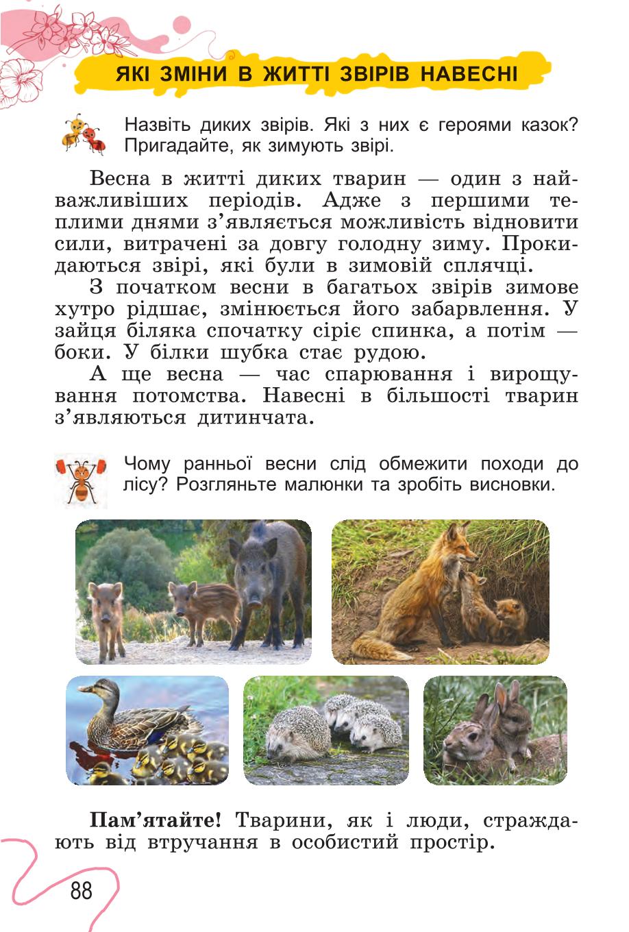 Мініатюра 88