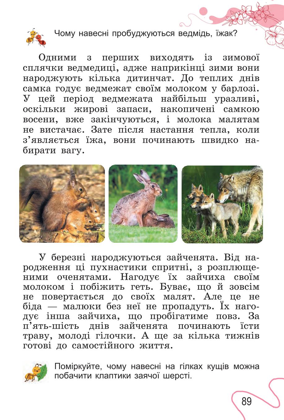 Мініатюра 89