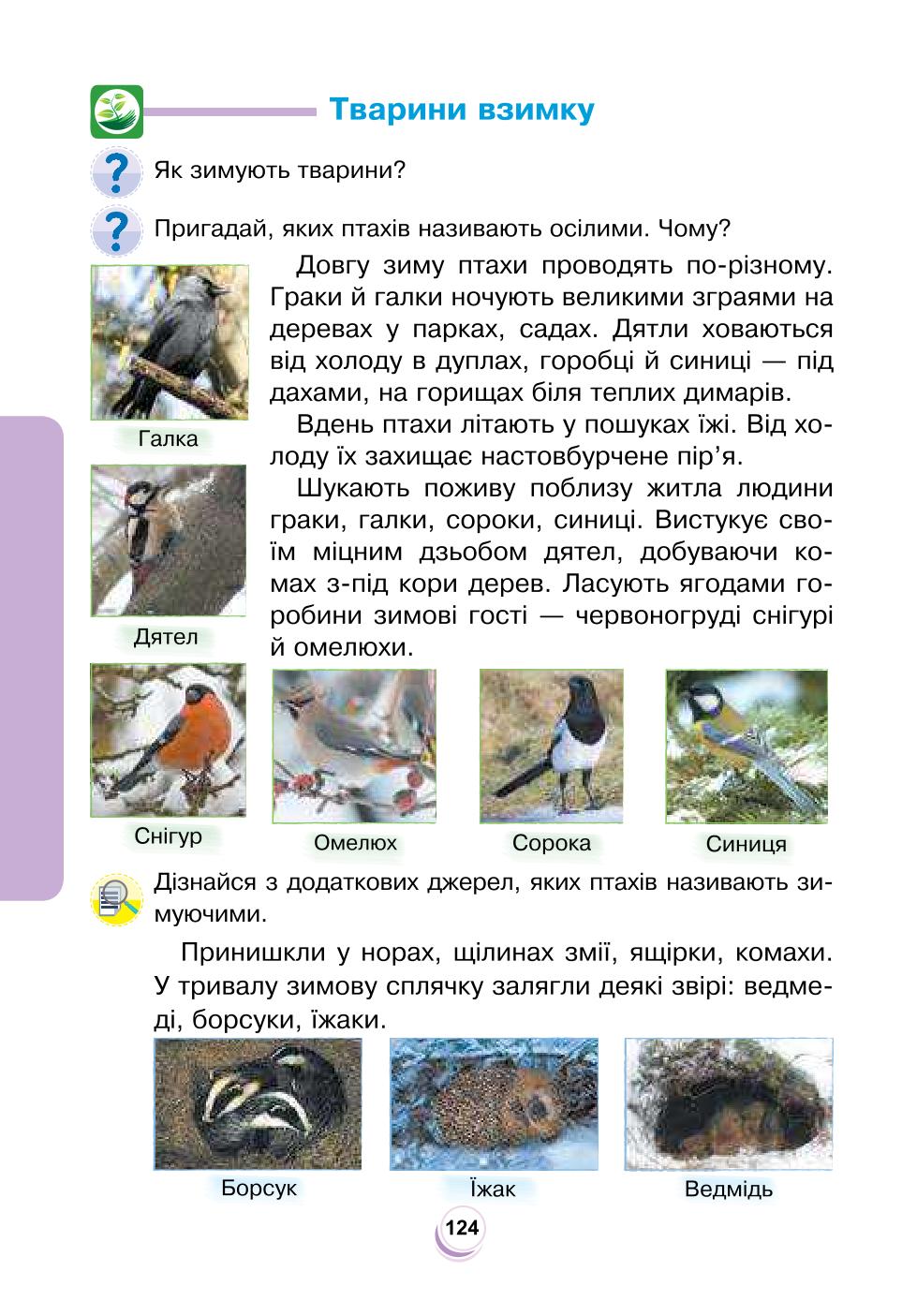Мініатюра 124