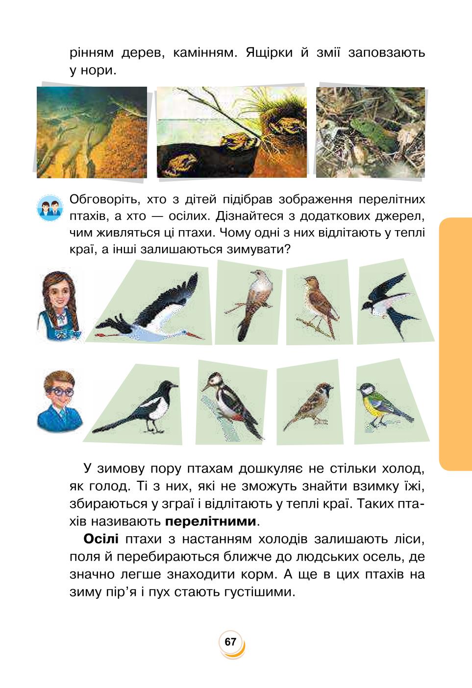 Мініатюра 67