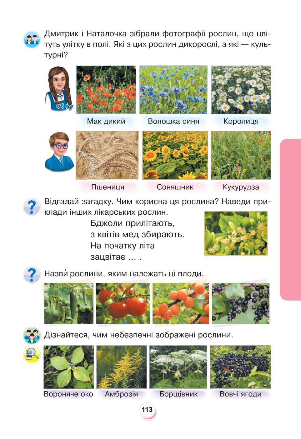 Мініатюра 113