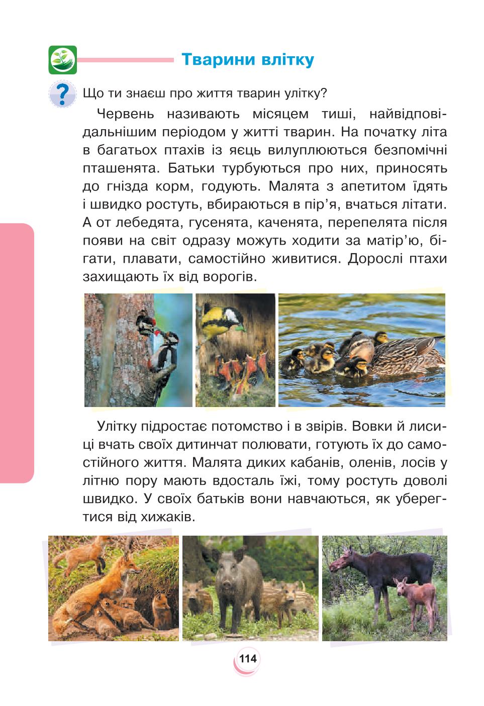 Мініатюра 114