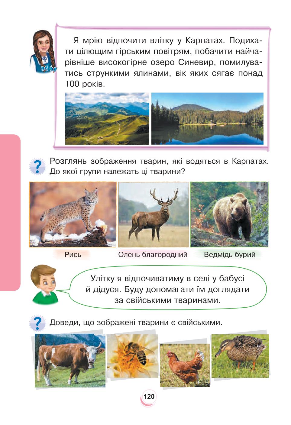 Мініатюра 120