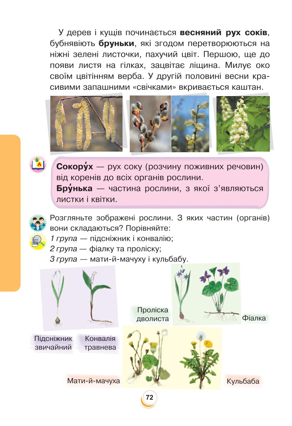 Мініатюра 72