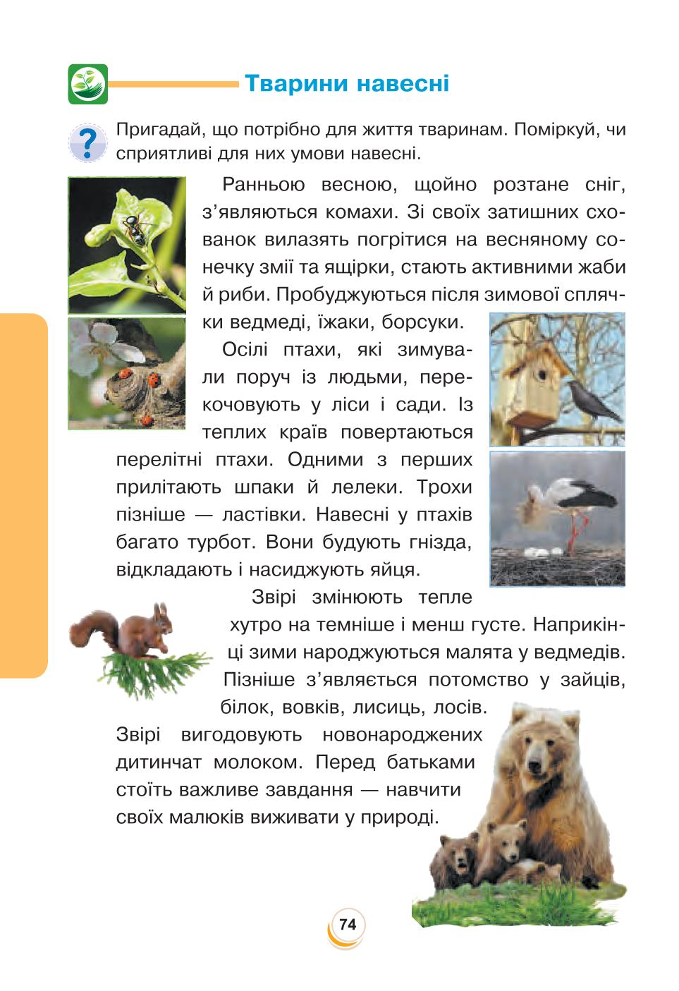 Мініатюра 74