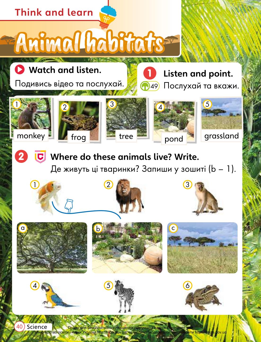 Мініатюра 40