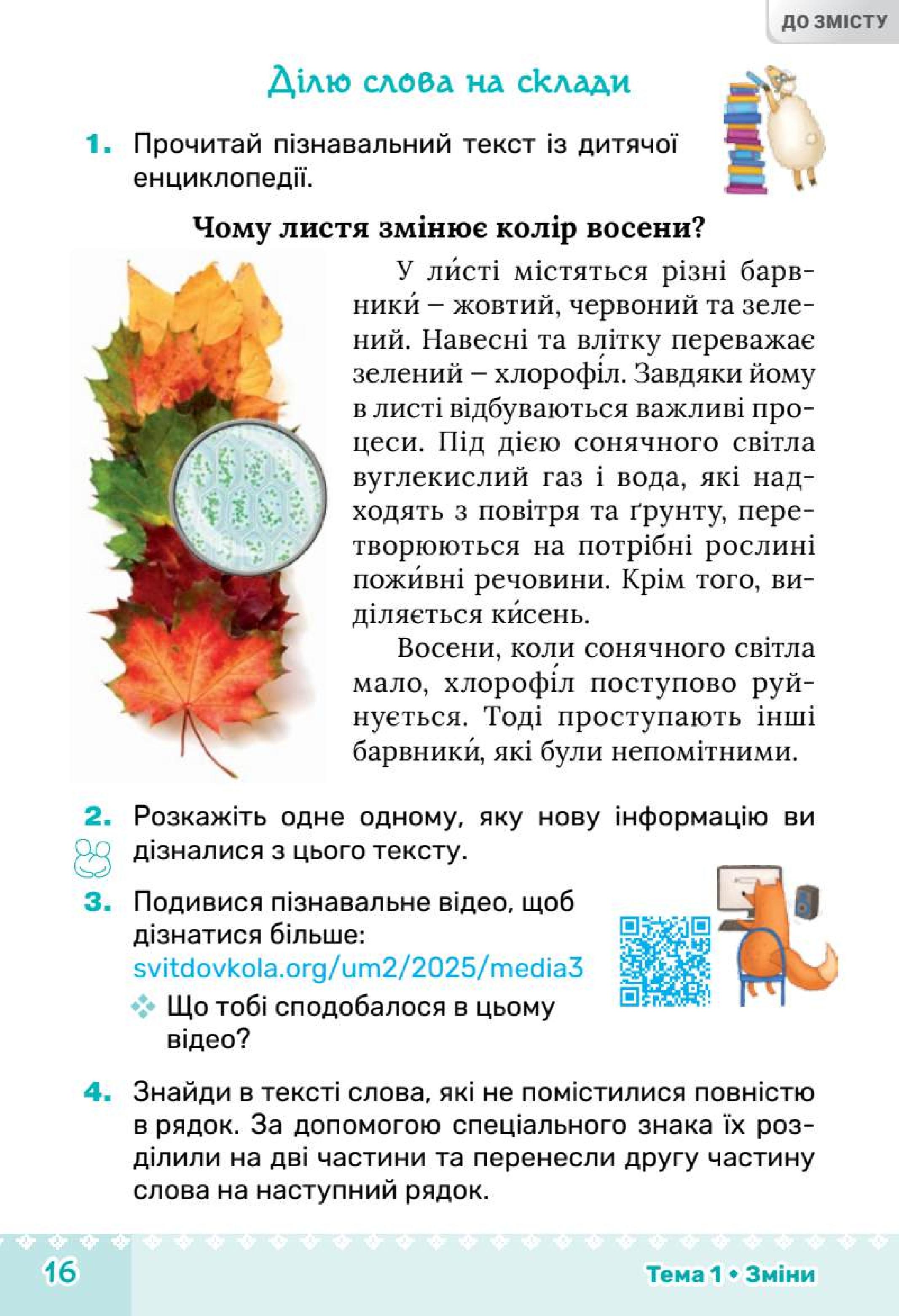 Мініатюра 16