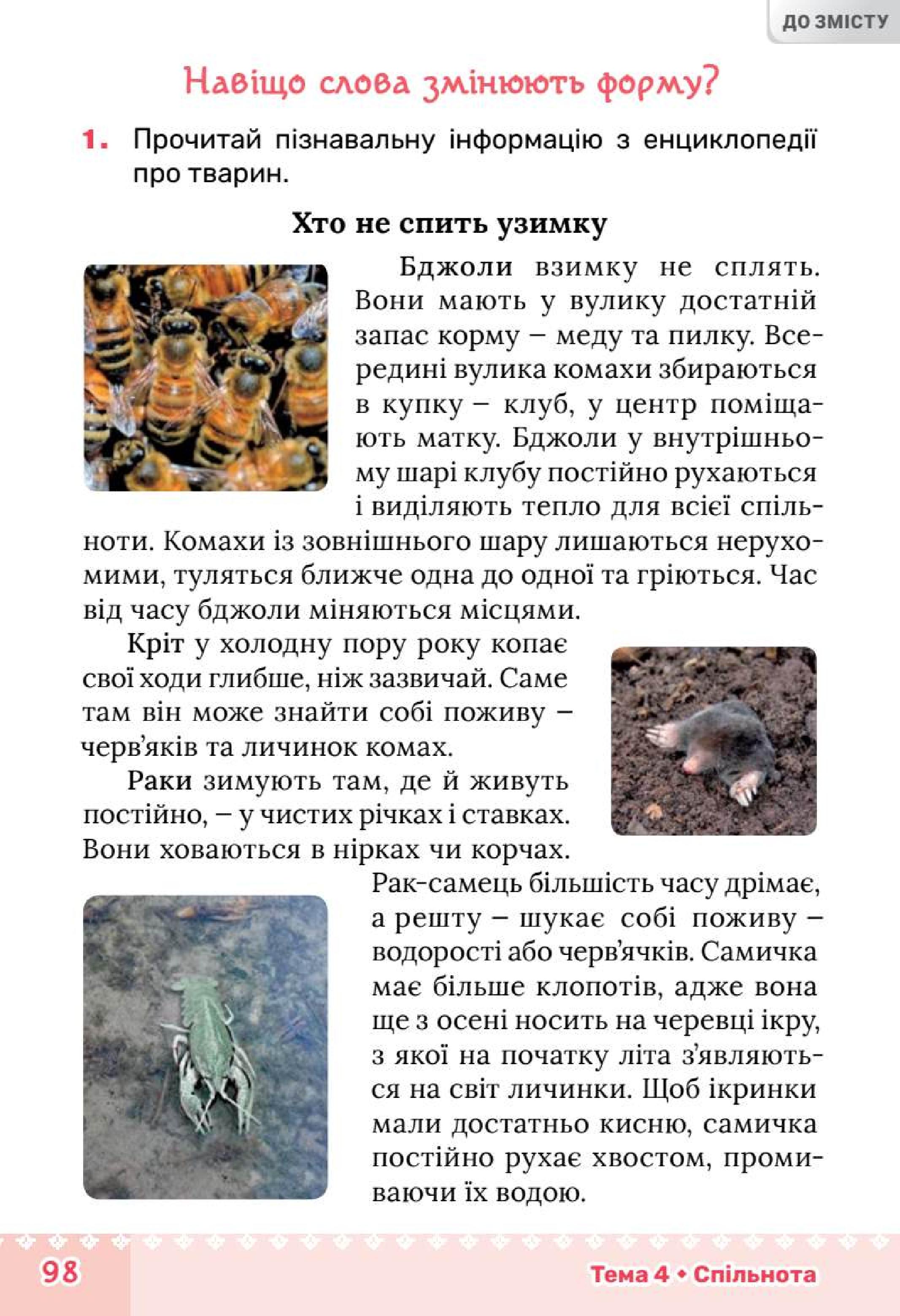 Мініатюра 98