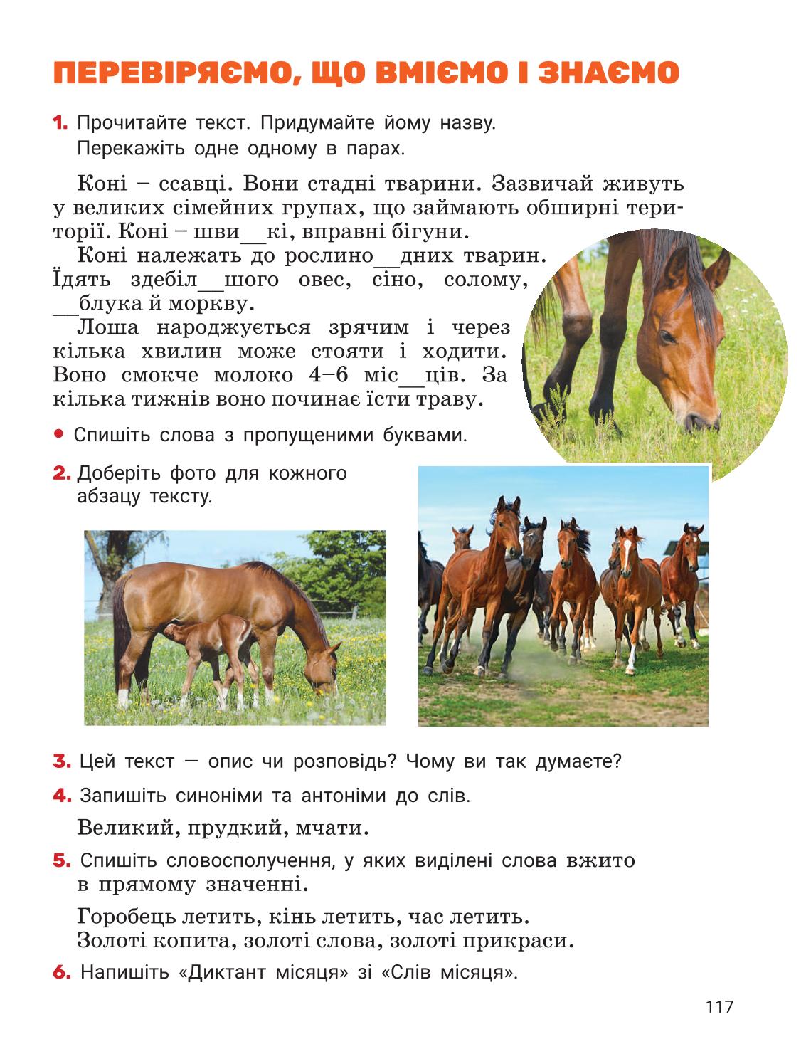 Мініатюра 117