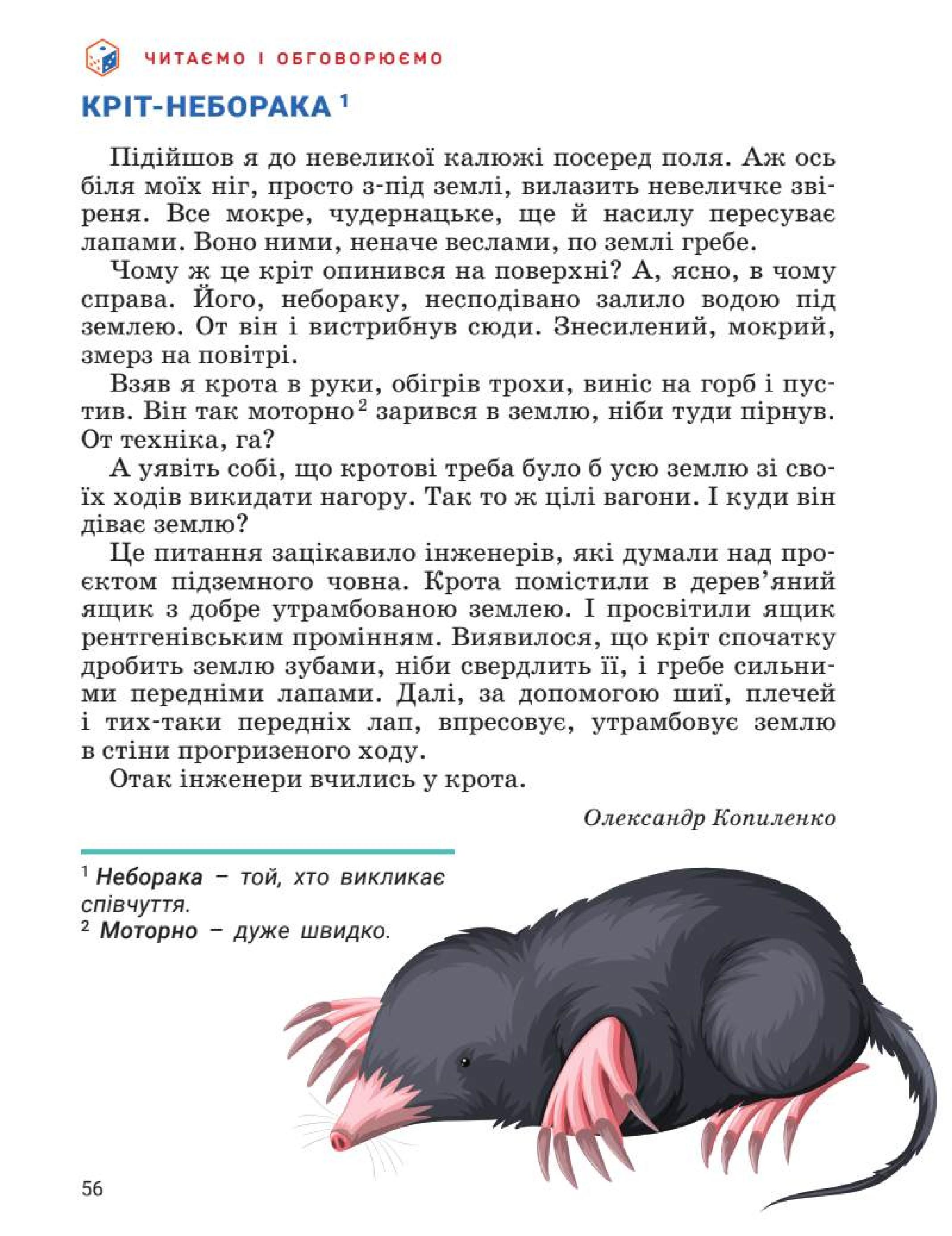 Мініатюра 56