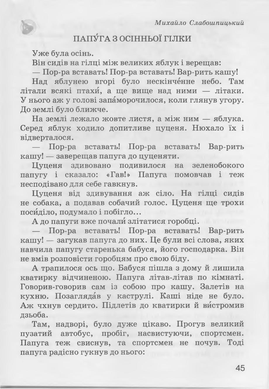 Мініатюра 45