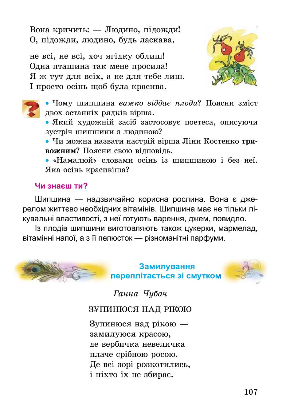 Мініатюра 107