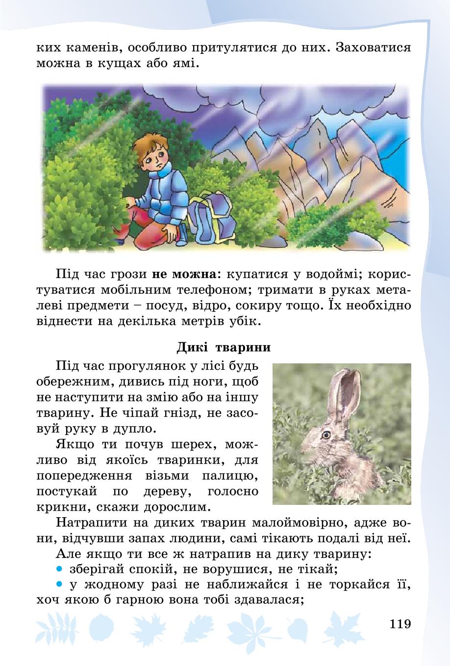 Мініатюра 119